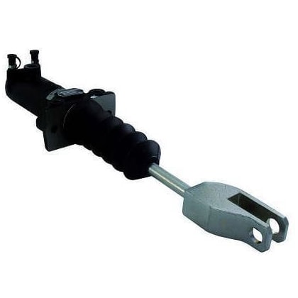 image_f97909a4-1a93-4b1e-b2e1-1525604137e9