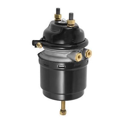 image_397f3998-a95d-475f-ba32-13cfd2403a61