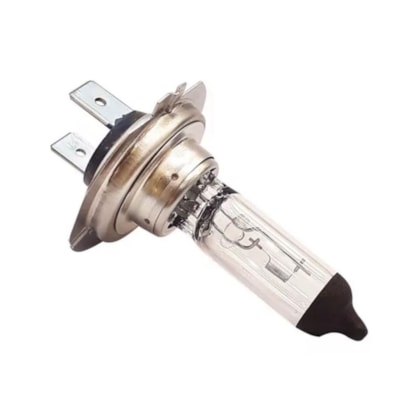 image_fa13c571-7ccd-4256-b3ca-ded5ac1166ef