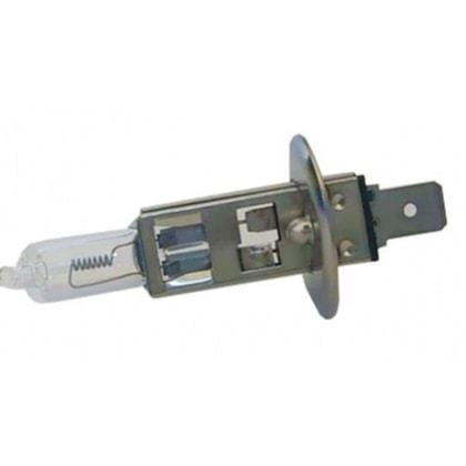 image_6cc9b1b2-8bf7-4040-bd2a-d9f738de05de