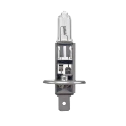 image_b9fda07e-e846-457e-bd09-f9b46761234c