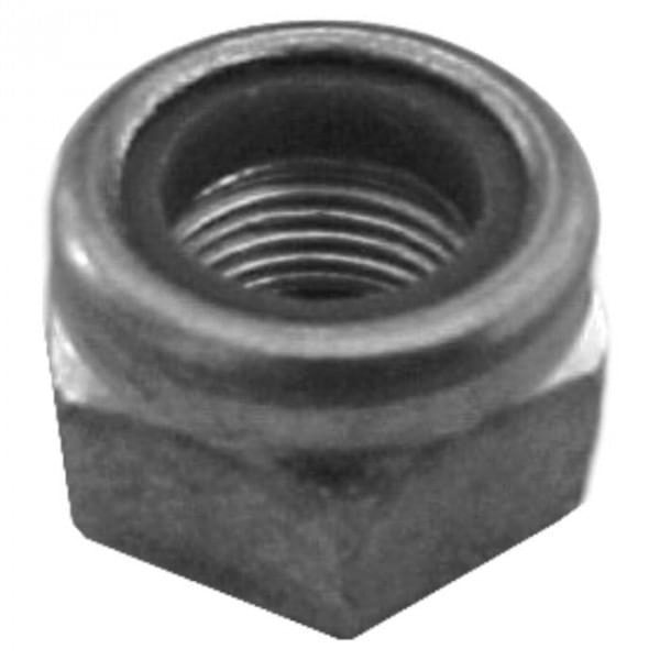 341421.jpg?w=1000&h1000
