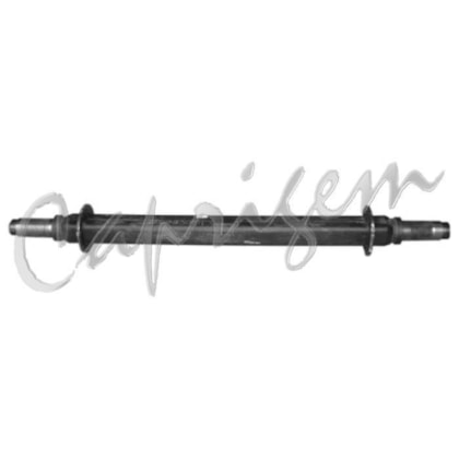 image_8cda7810-b5a9-4da3-a925-92a3f9f99406